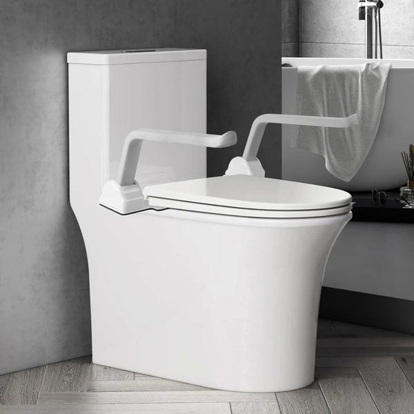 Toilet Safety Rail