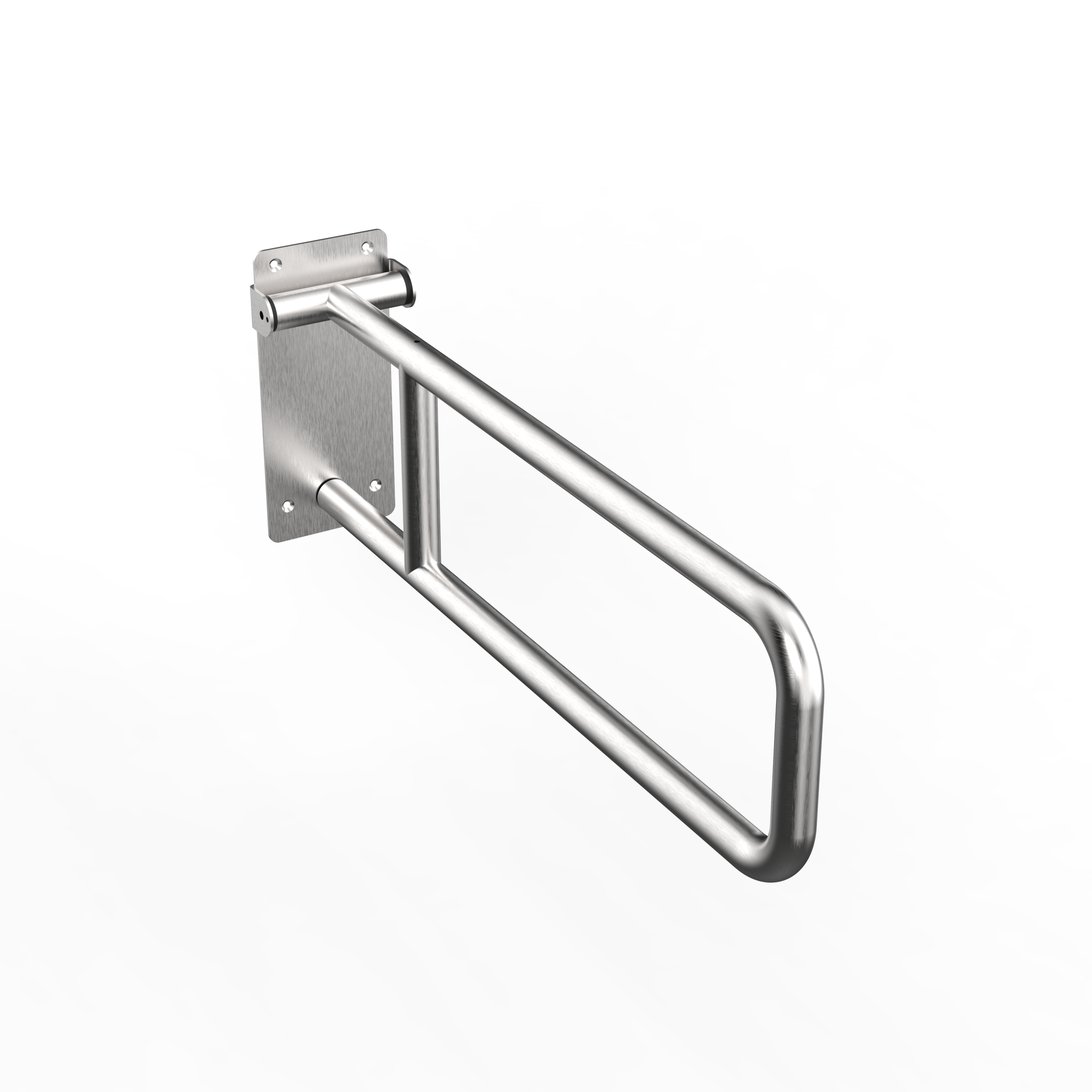 Image of EGRS77 | Disabled Grab Bar Swing