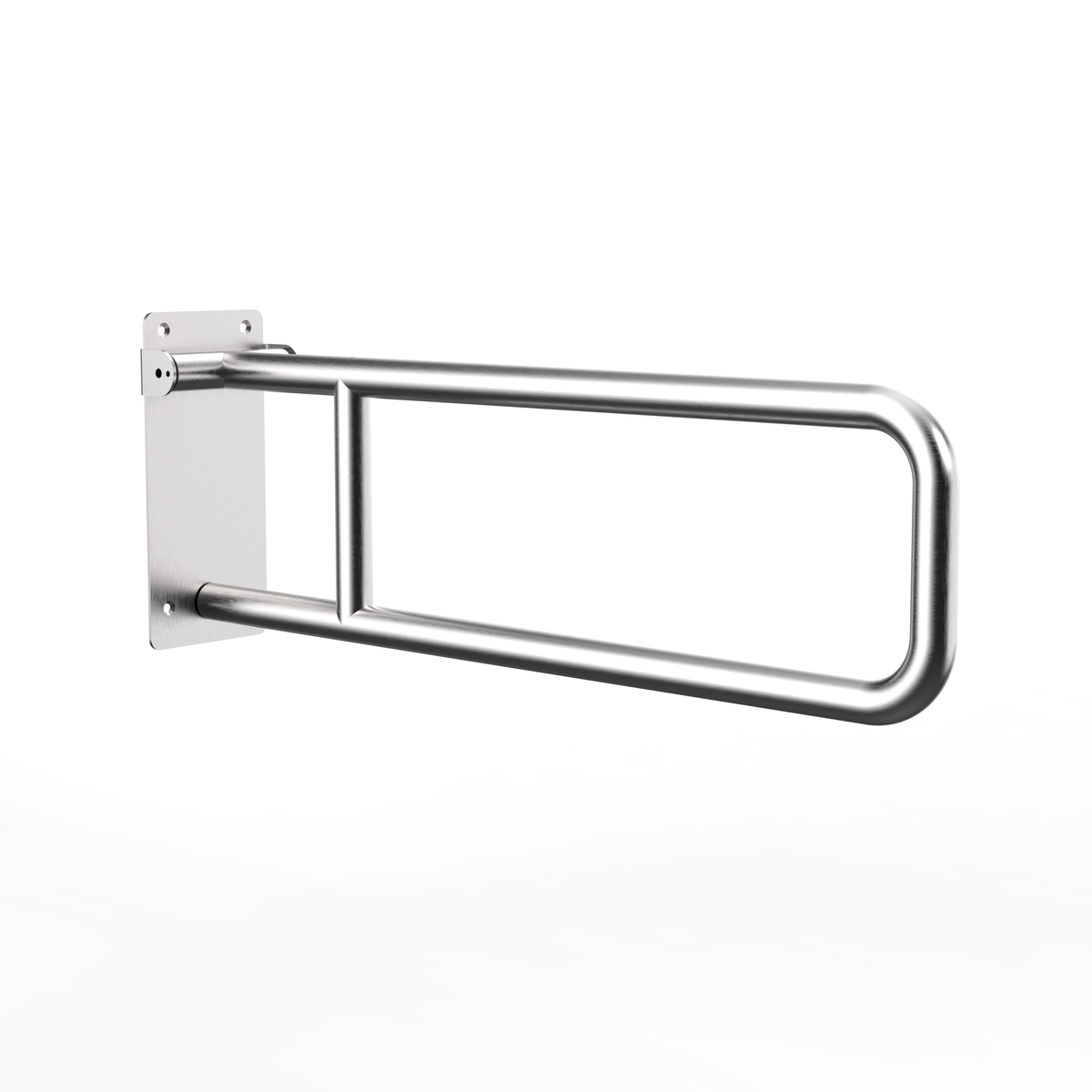 EGRS77 | Disabled Grab Bar Swing